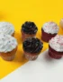 Assorted Box Cupcake Combo [Pack of 6]